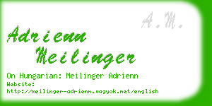 adrienn meilinger business card